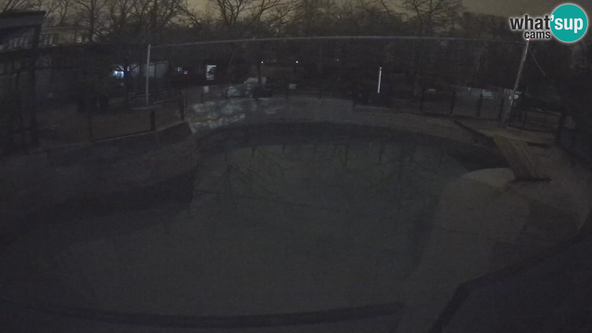 Zoo Zagreb – Otarie de Californie