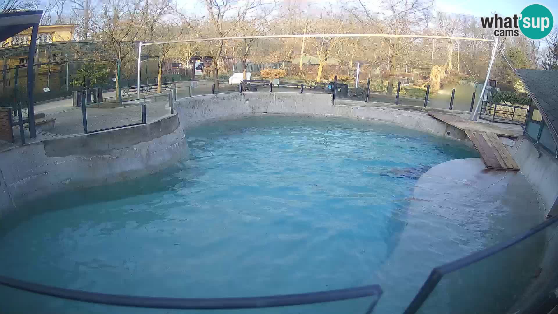 Zoo Zagreb – Kalifornijski morski lav