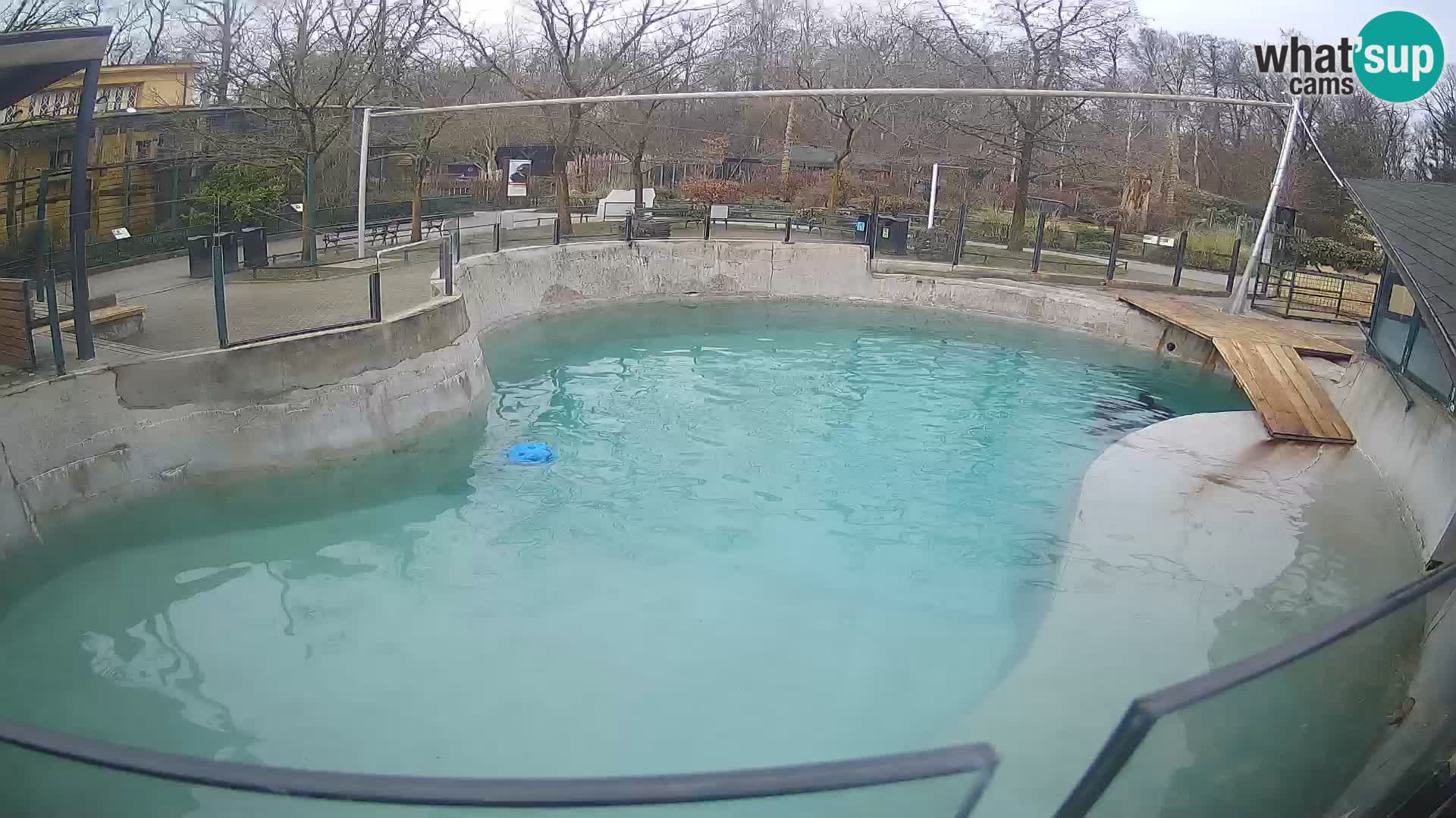 Zoo Zagreb – Otarie de Californie