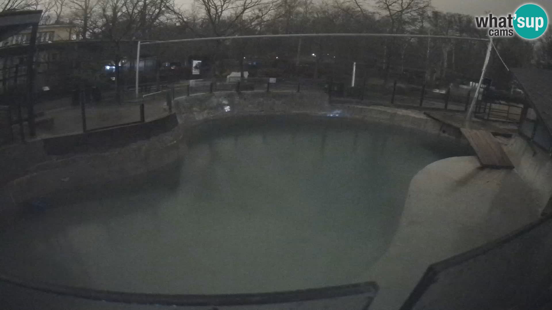 Zoo Zagreb – Kalifornijski morski lav