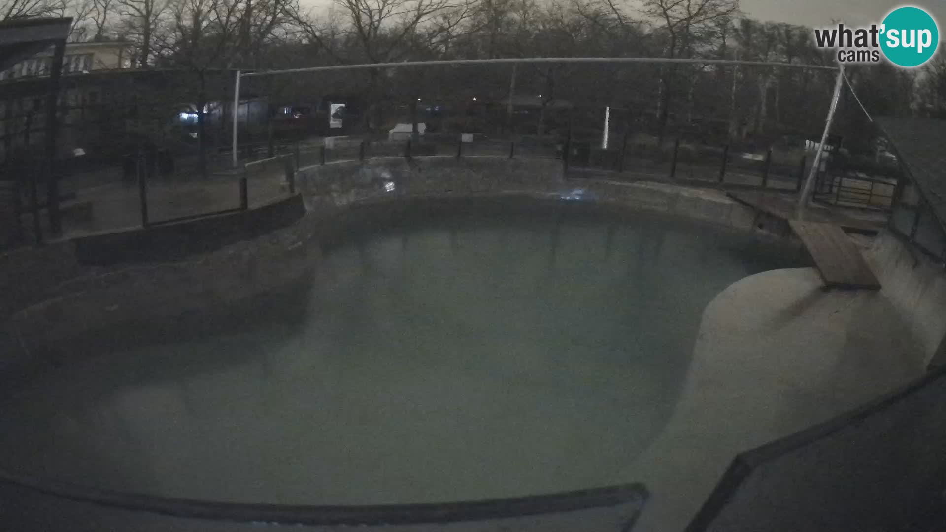 Zoo Zagreb – Kalifornijski morski lav