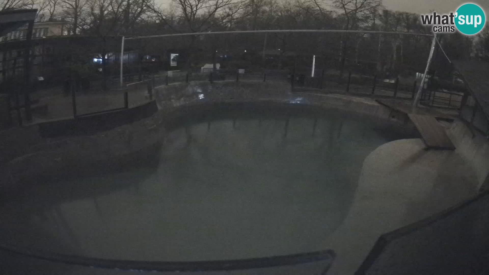 Zoo Zagreb – Kalifornijski morski lav