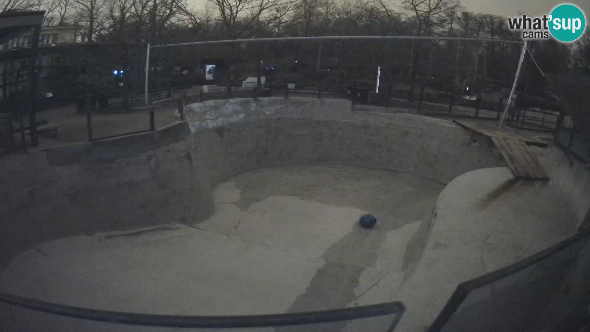 Zoo Zagreb – Kalifornijski morski lav