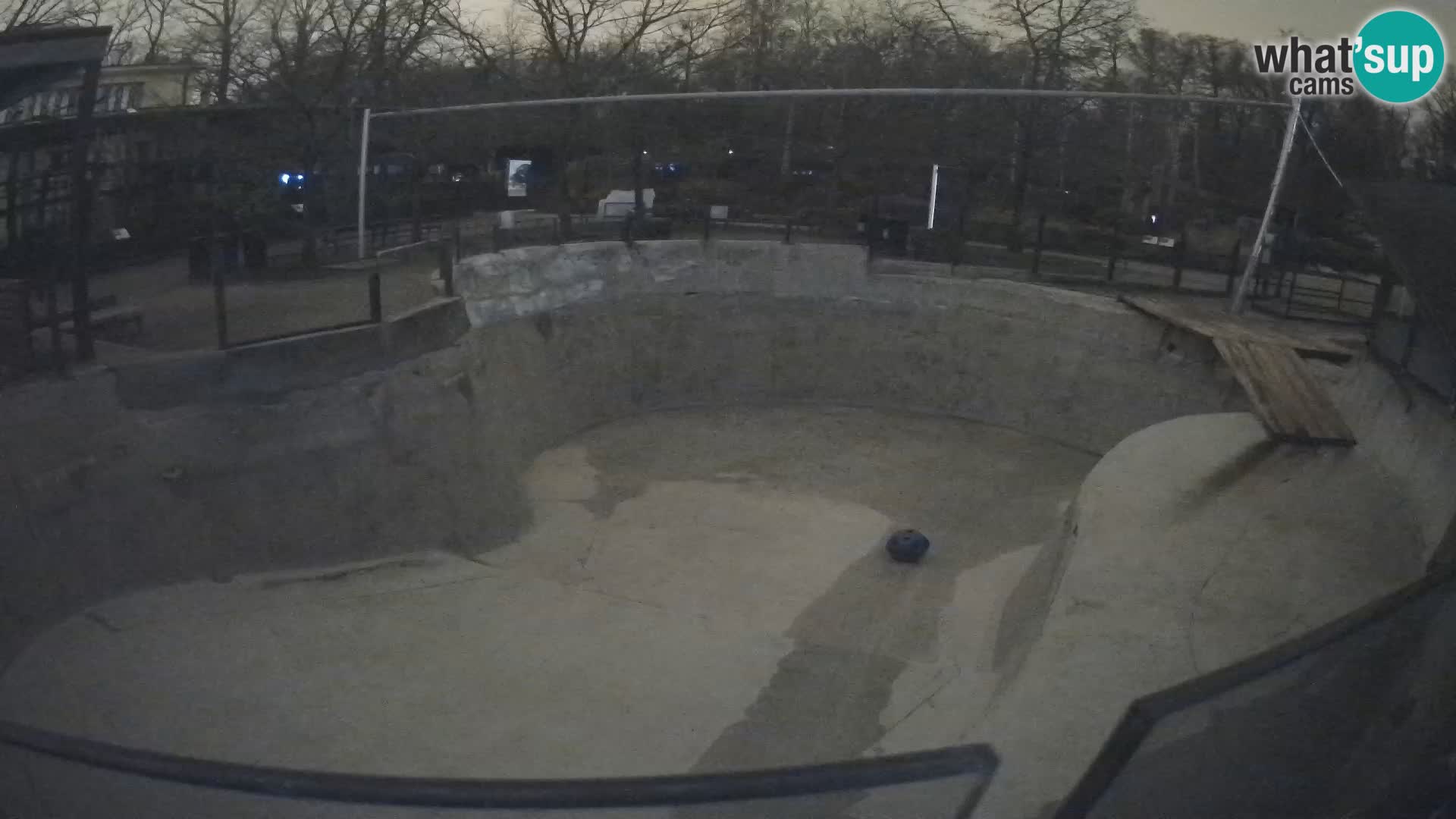 Zoo Zagreb – Kalifornijski morski lav