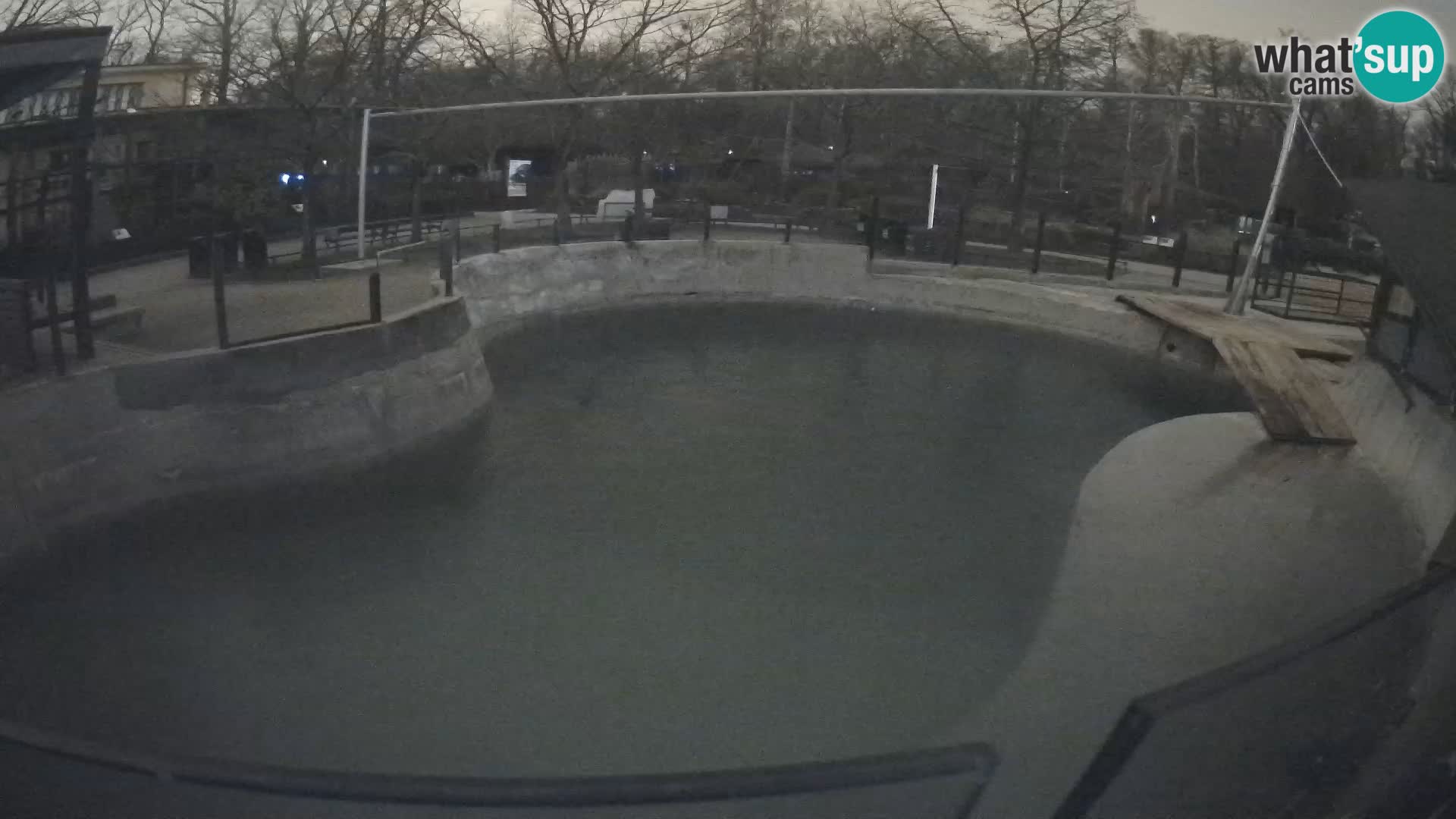 Zoo Zagreb – California Sea Lion