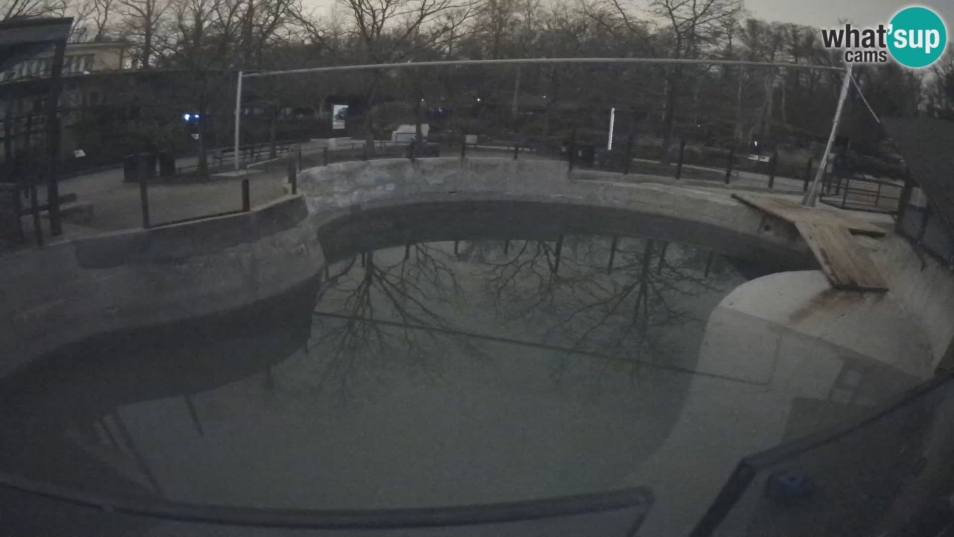 Zoo Zagreb – Kalifornischer Seelöwe