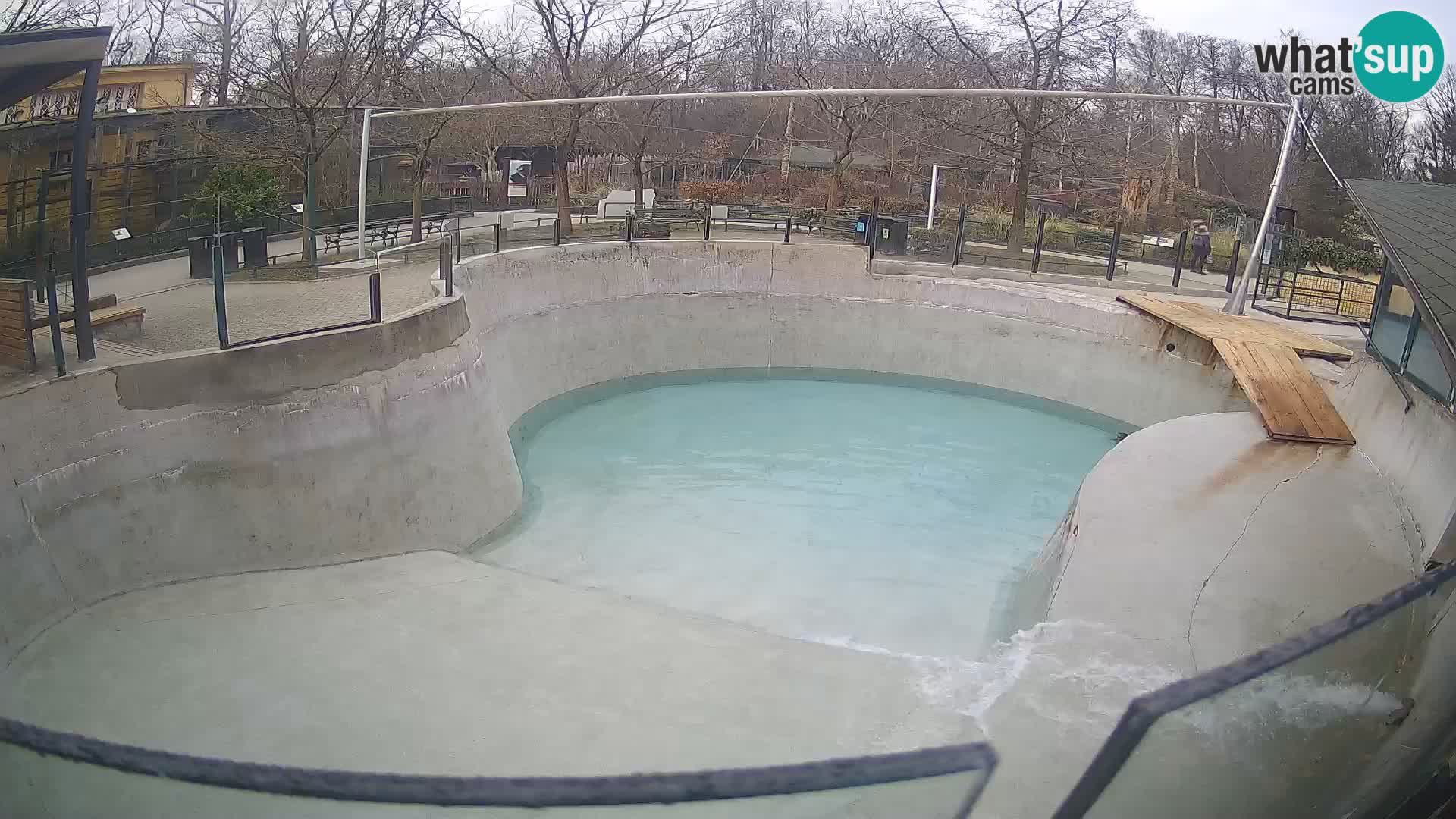 Zoo Zagreb – Otarie de Californie