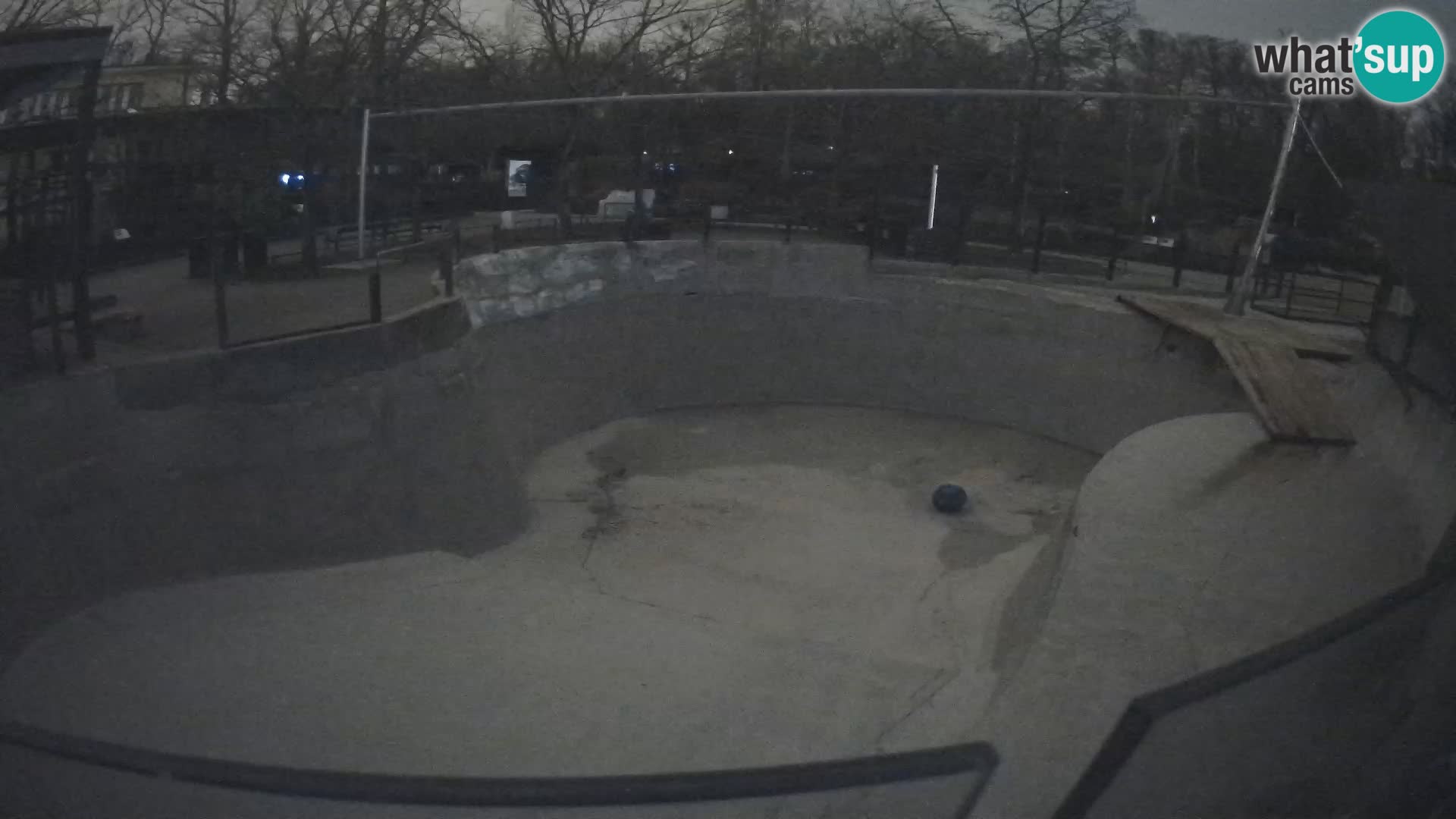 Zoo Zagreb – Otarie de Californie