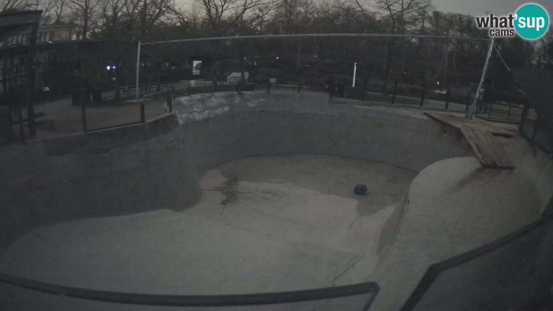 Zoo Zagreb – Otaria della California