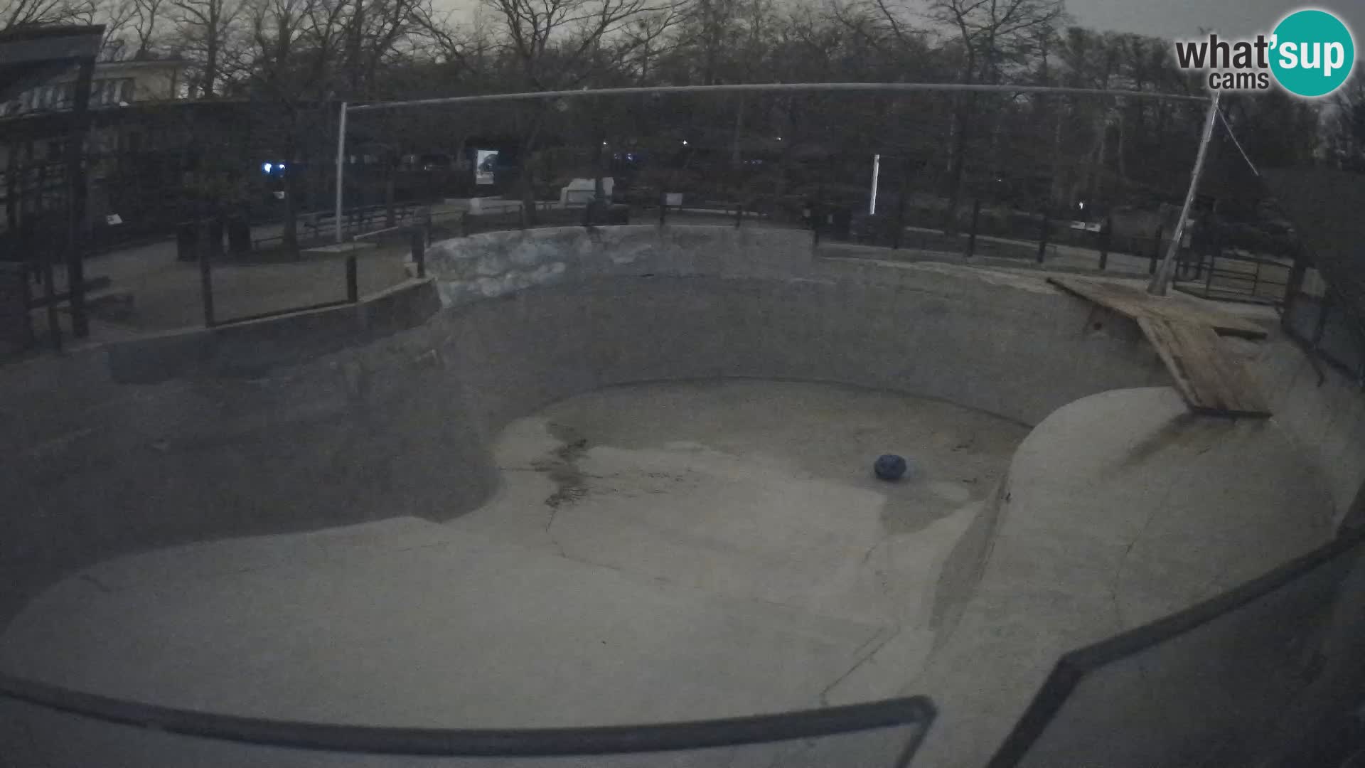 Zoo Zagreb – Otaria della California