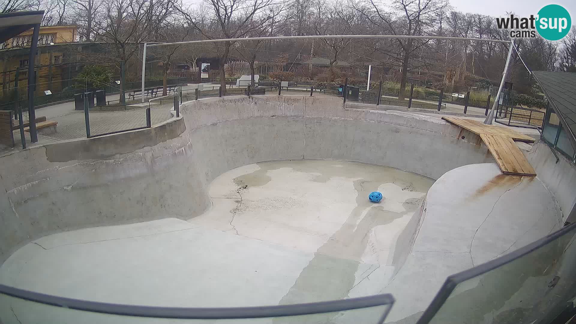 Zoo Zagreb – Otaria della California