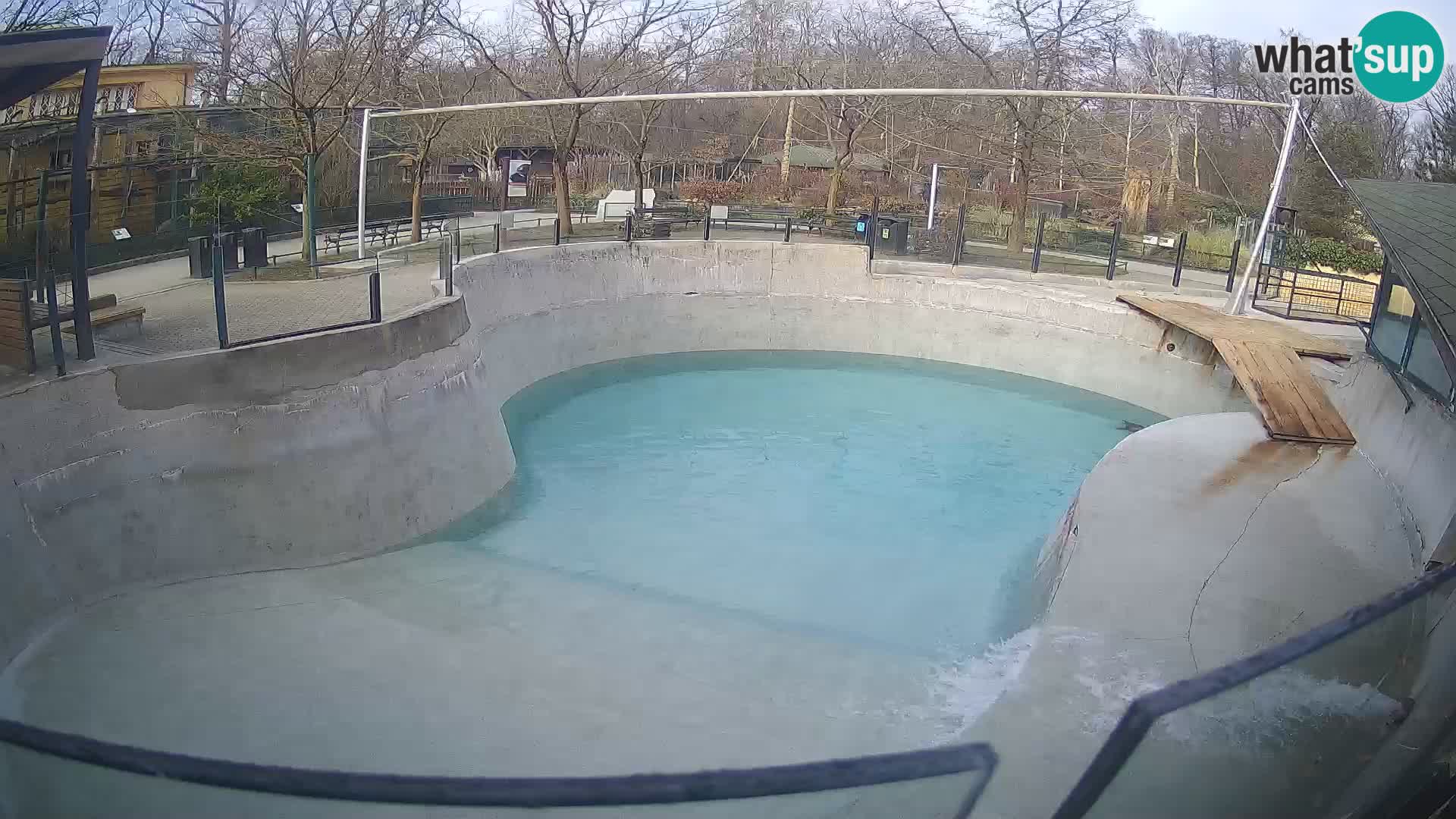 Zoo Zagreb – Kalifornijski morski lav