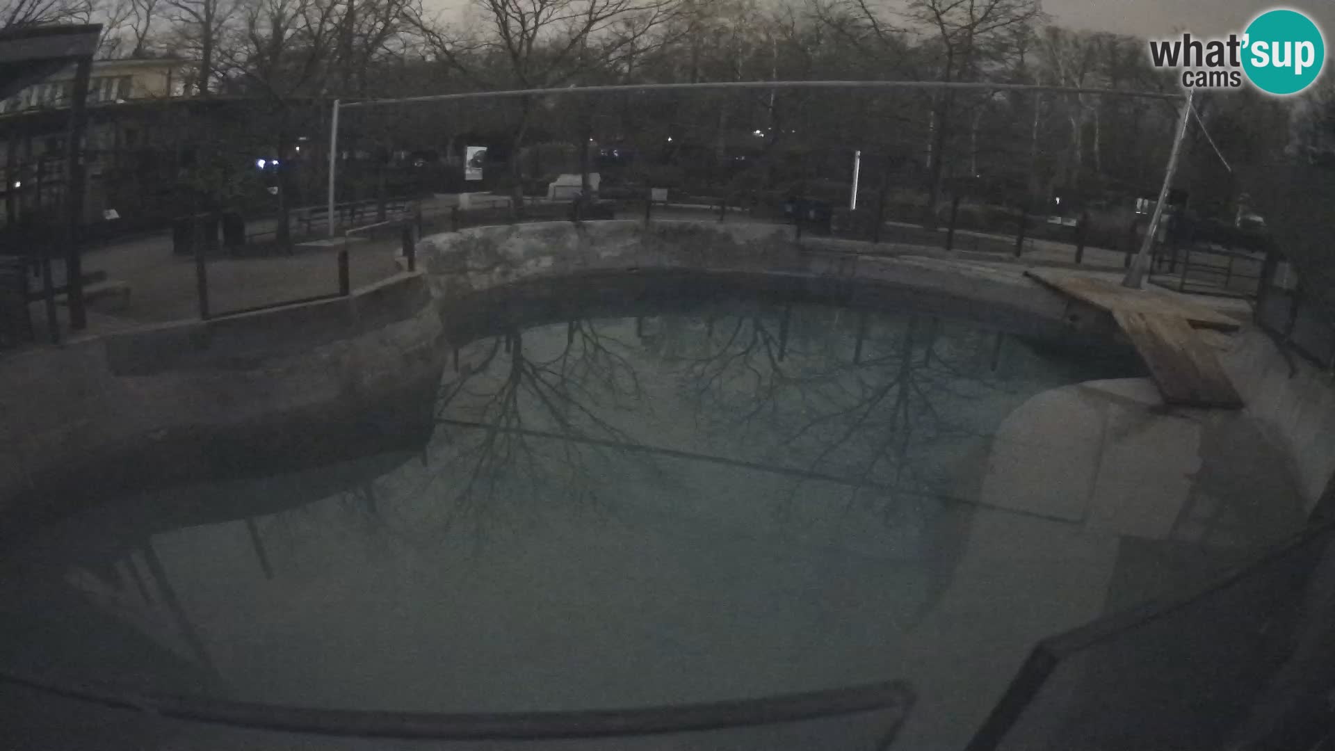 Zoo Zagreb – Kalifornijski morski lev