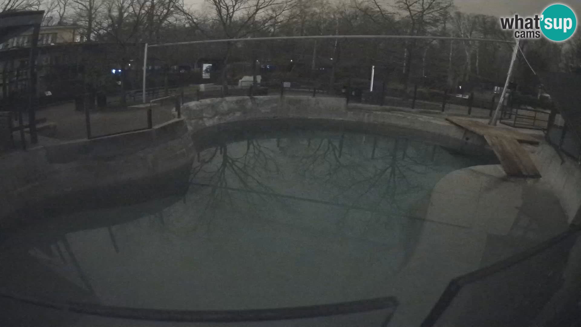 Zoo Zagreb – Otarie de Californie