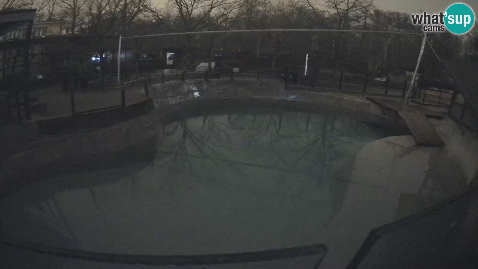 Zoo Zagreb – Kalifornijski morski lav