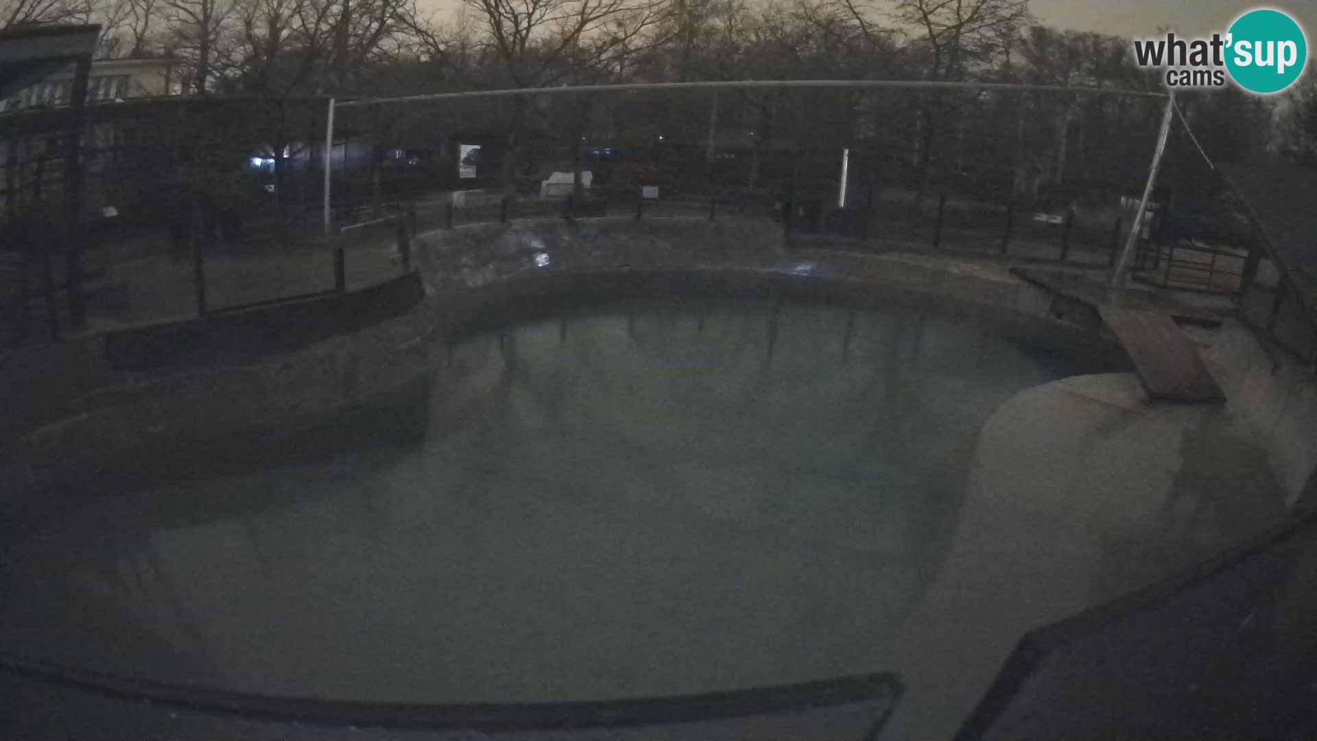 Zoo Zagreb – Kalifornijski morski lav