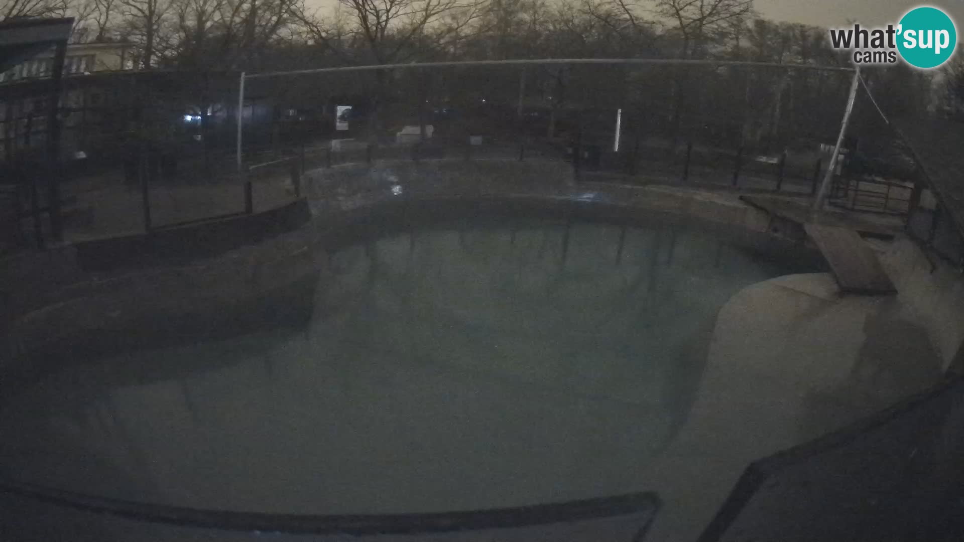 Zoo Zagreb – Kalifornijski morski lav