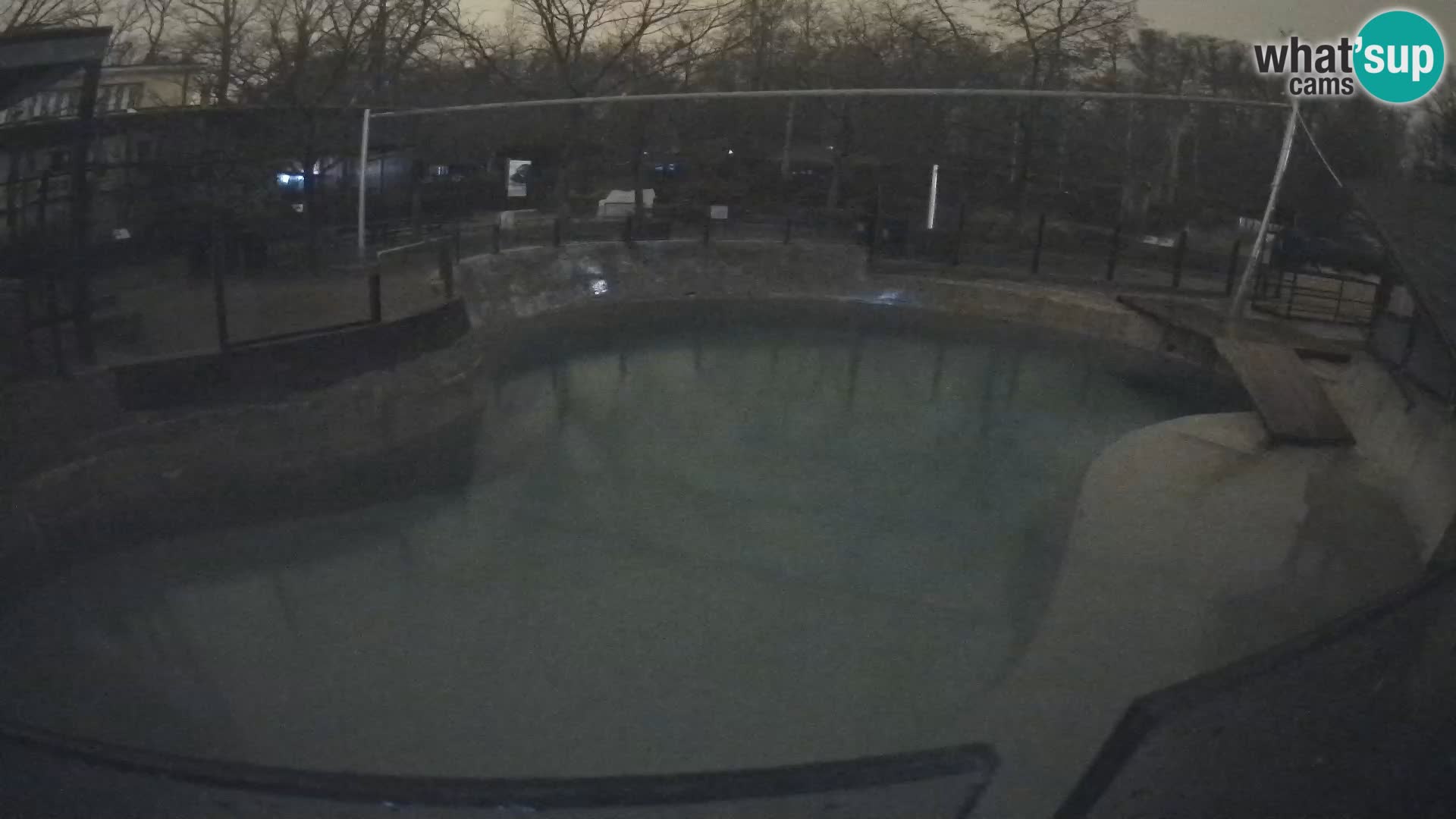 Zoo Zagreb –  León marino de California