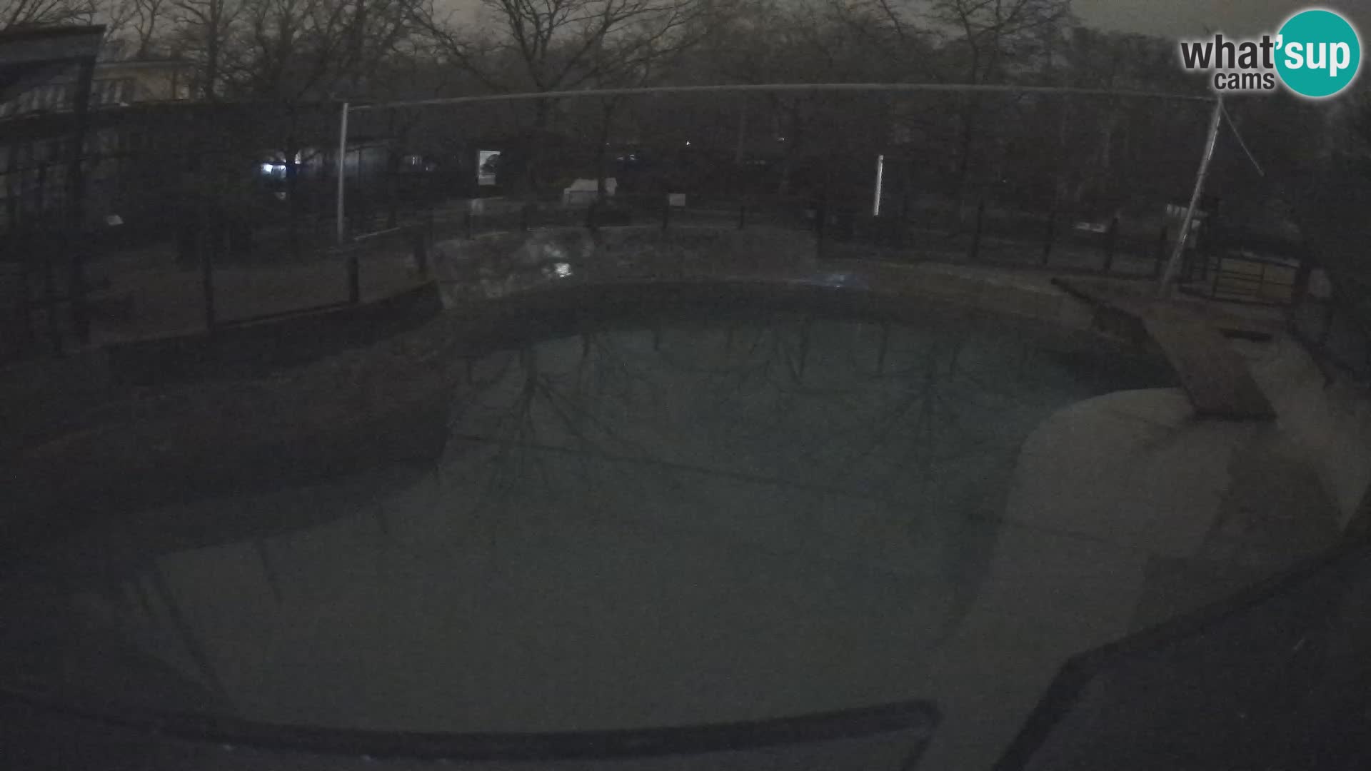 Zoo Zagreb – Kalifornijski morski lav