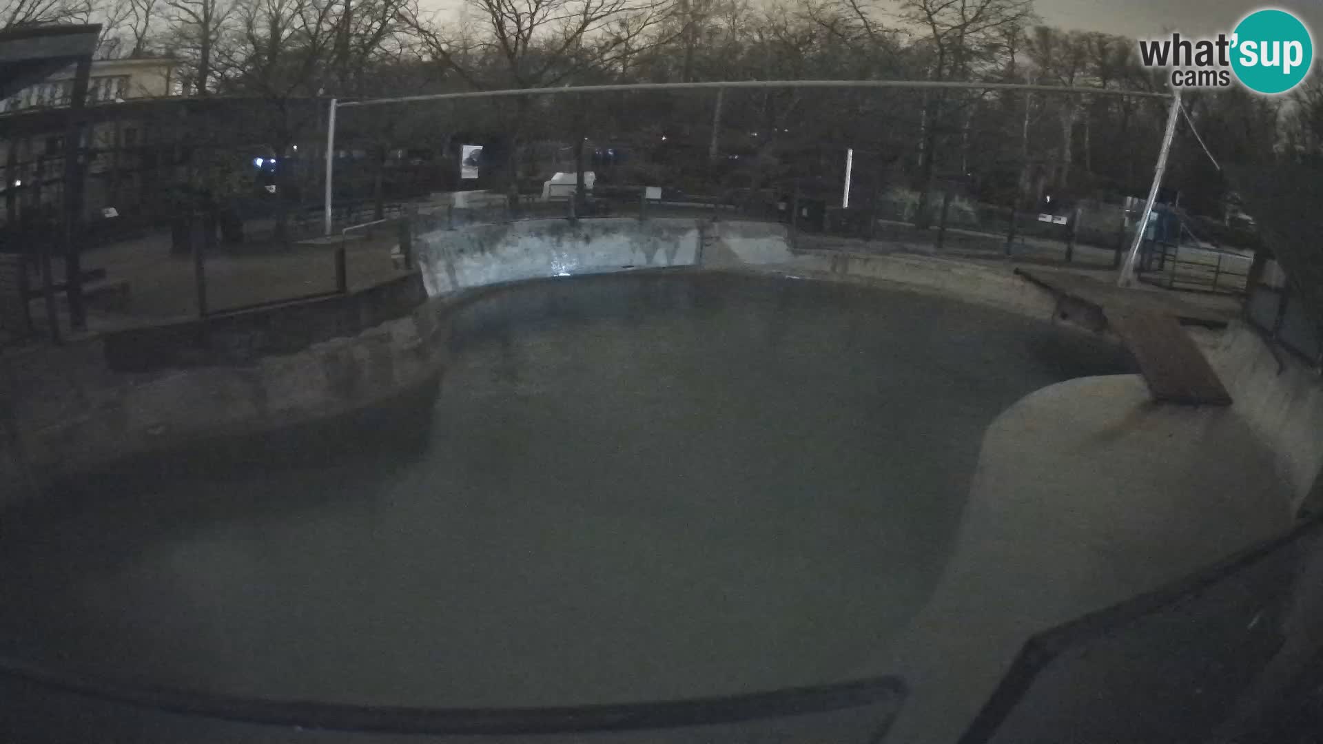 Zoo Zagreb – Kalifornijski morski lav