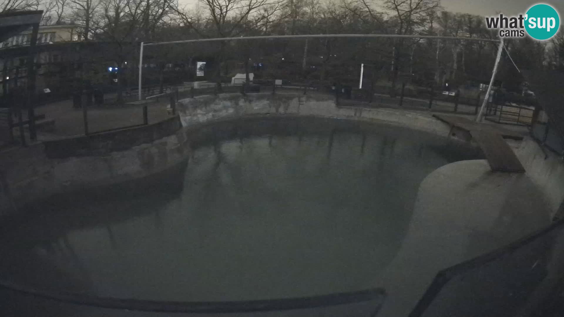 Zoo Zagreb – Kalifornijski morski lav