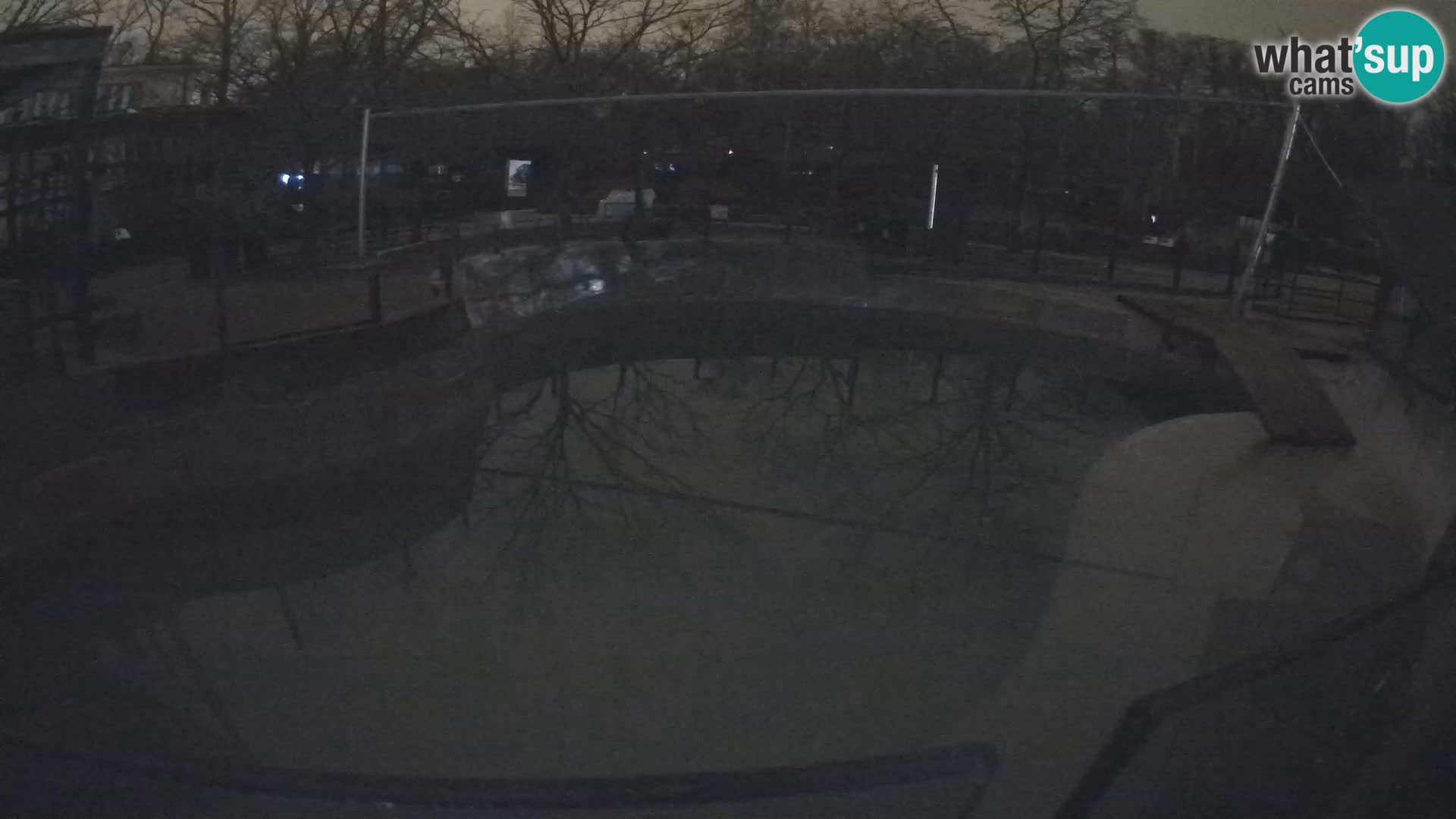 Zoo Zagreb – Otarie de Californie