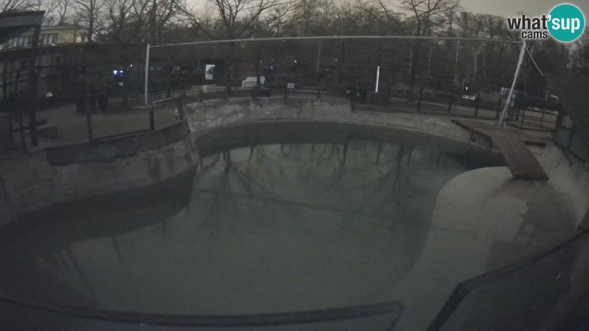 Zoo Zagreb – Otarie de Californie