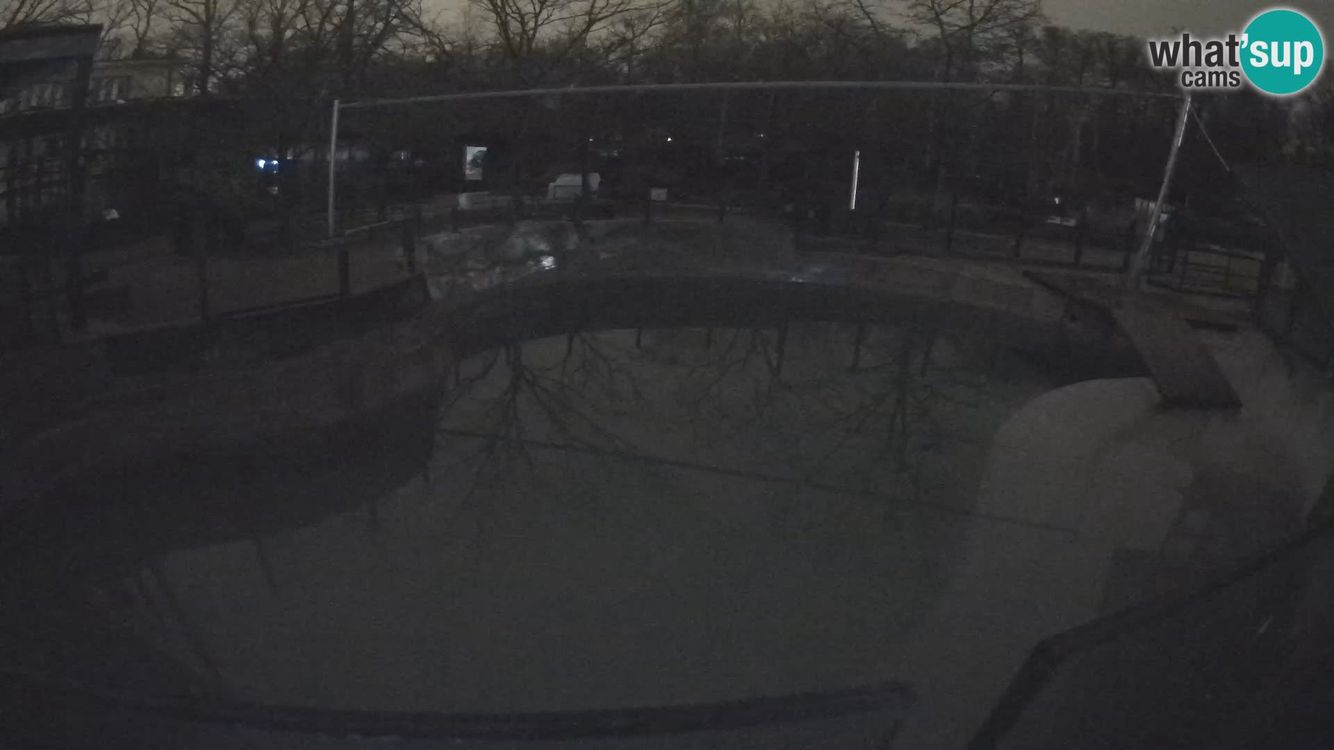 Zoo Zagreb – Kalifornijski morski lev