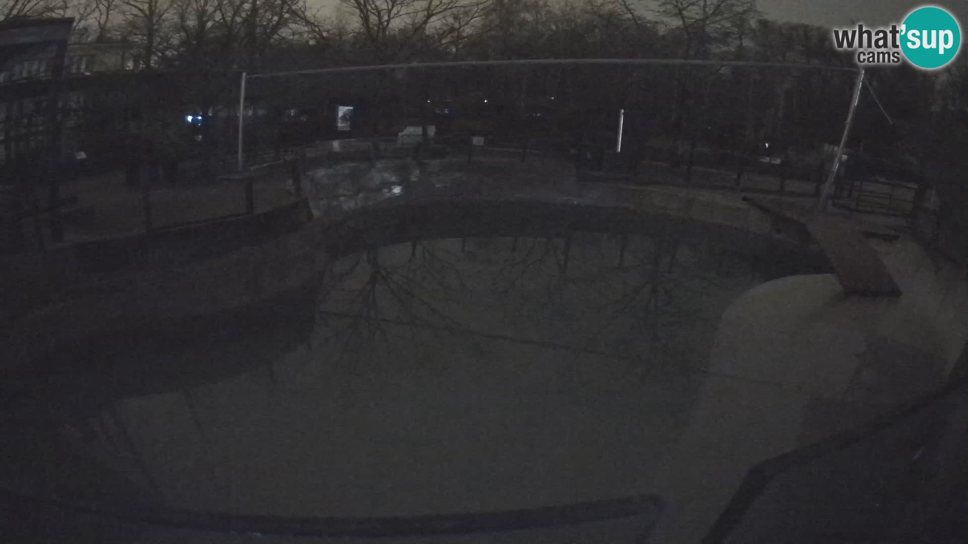 Zoo Zagreb – Kalifornijski morski lav