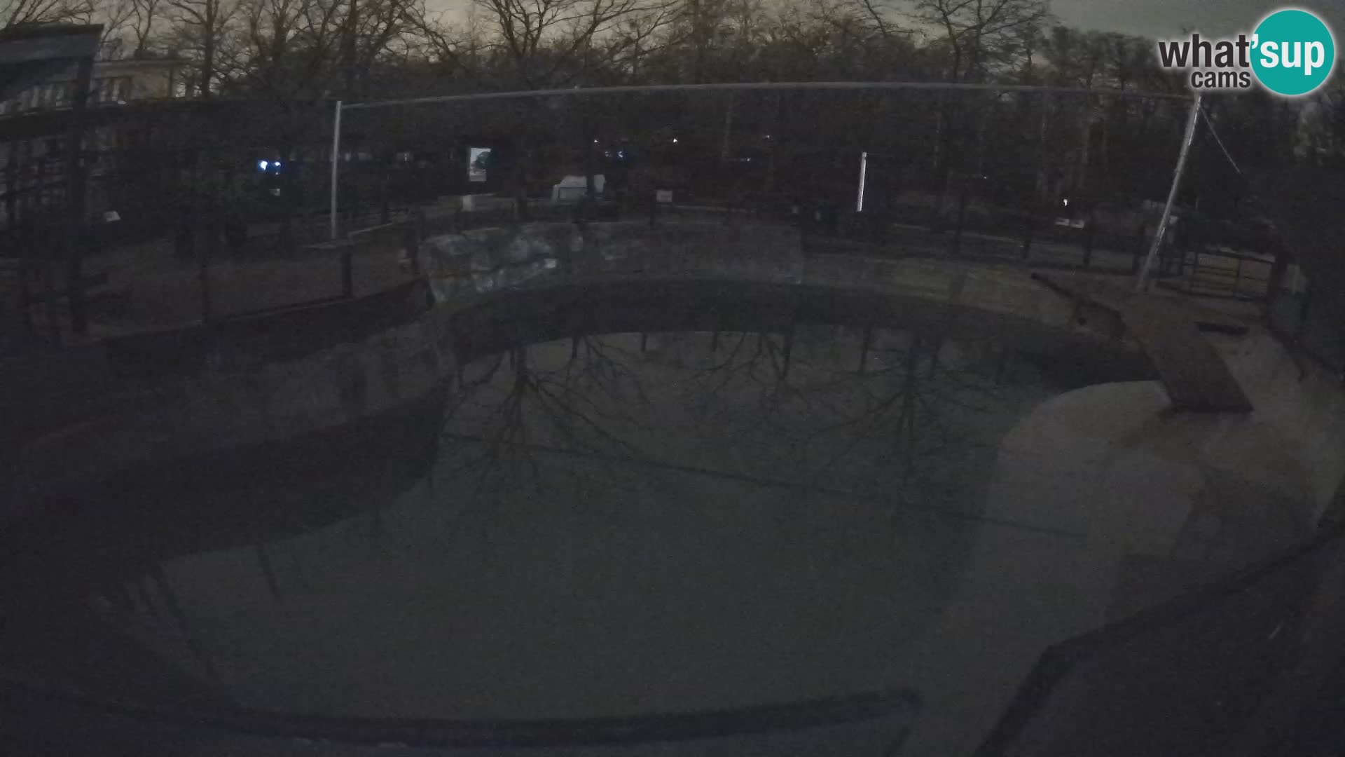 Zoo Zagreb – Kalifornijski morski lav