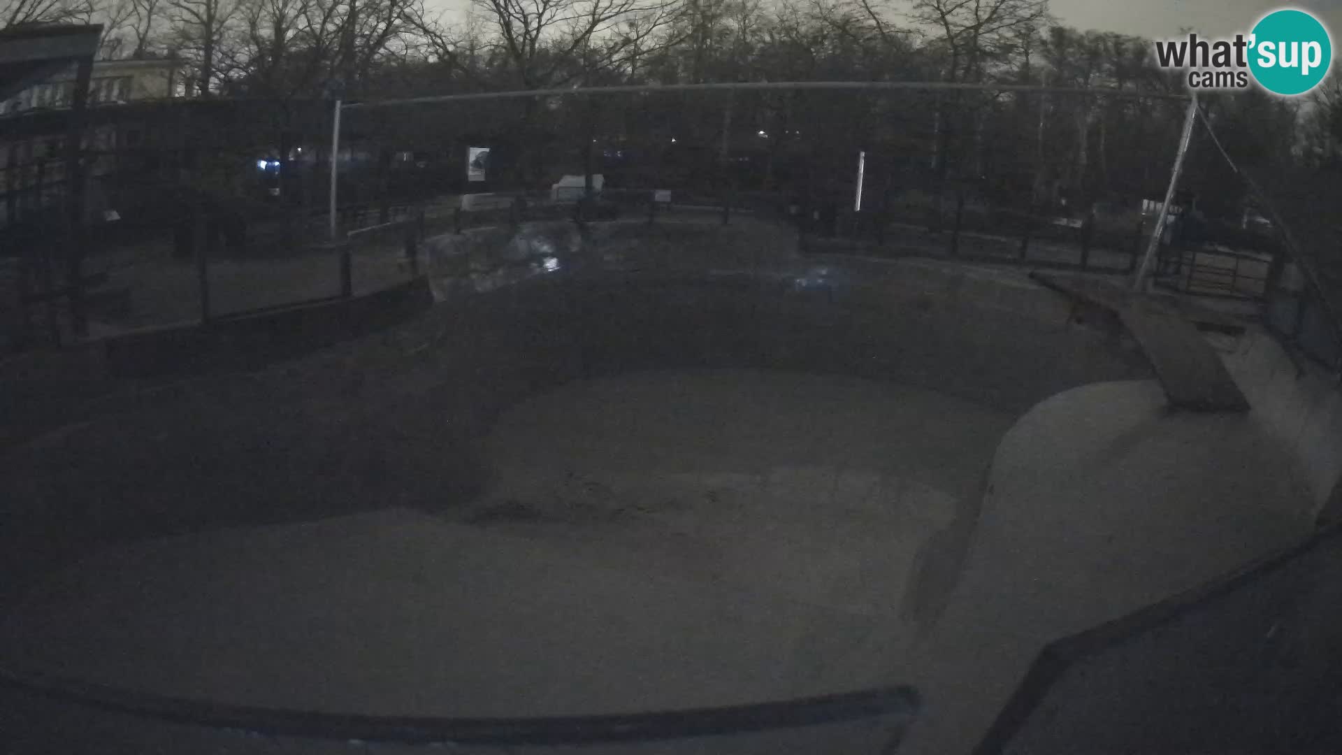 Zoo Zagreb – Otarie de Californie