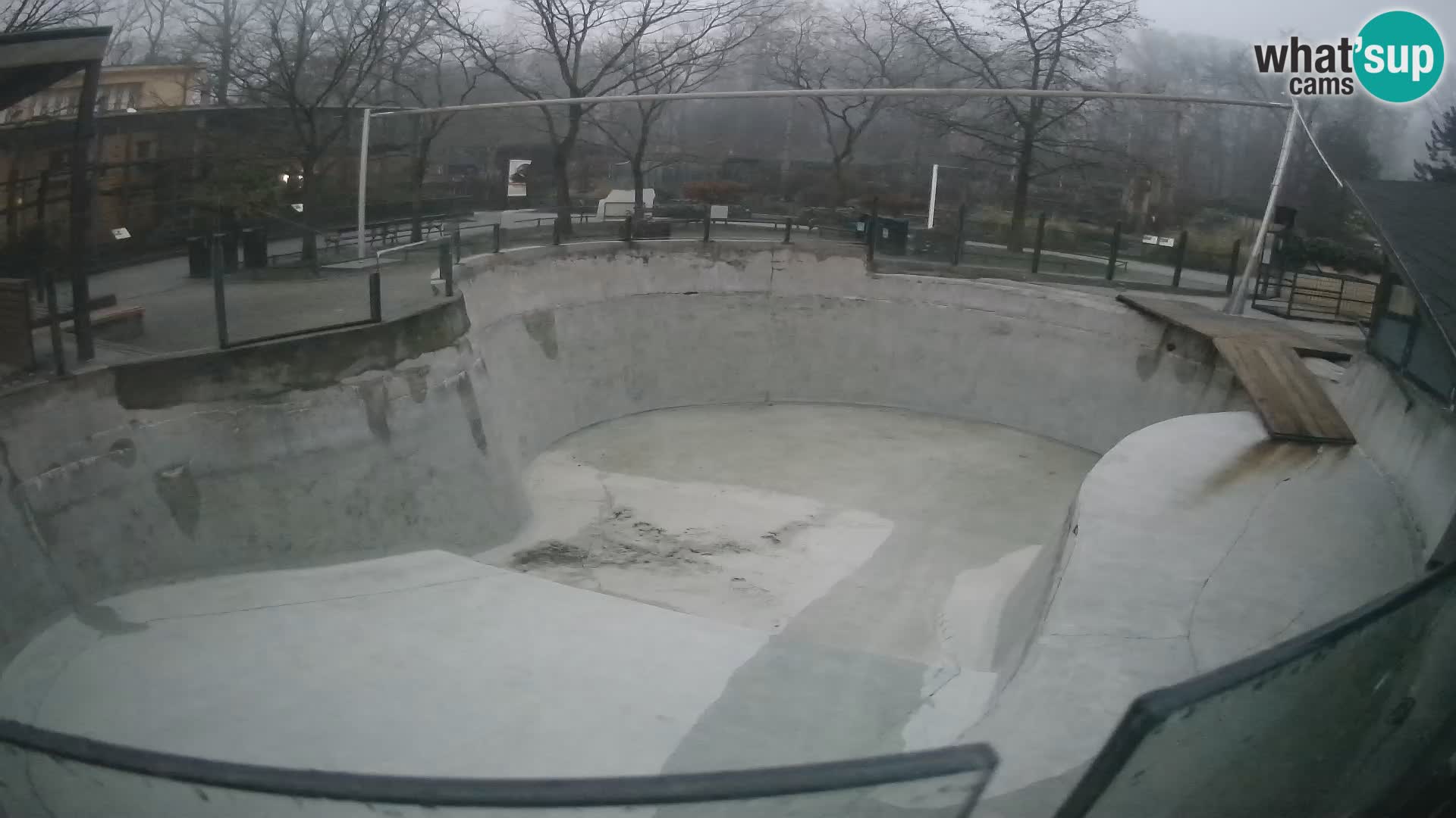 Zoo Zagreb – Otaria della California