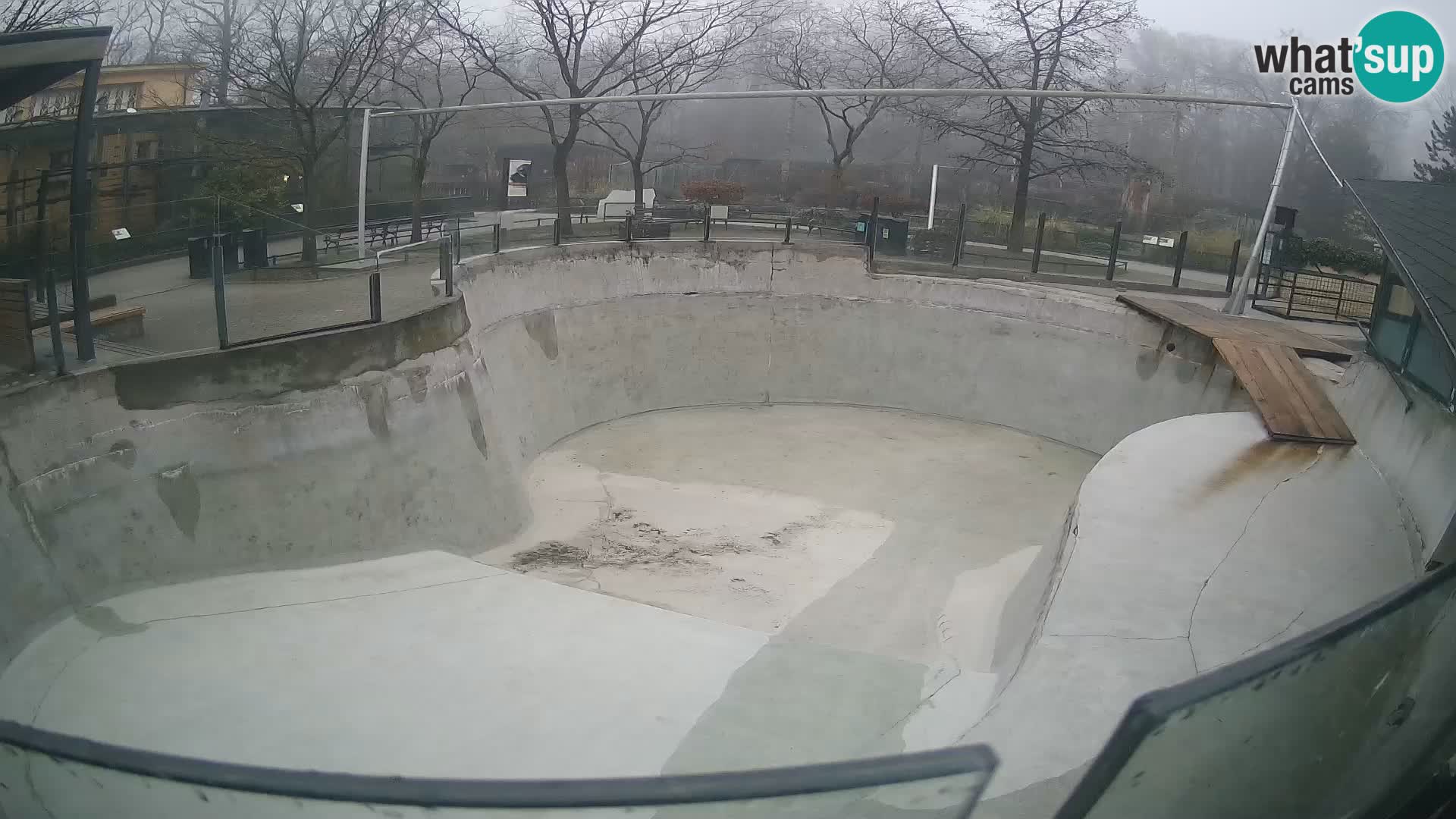 Zoo Zagreb – Kalifornischer Seelöwe