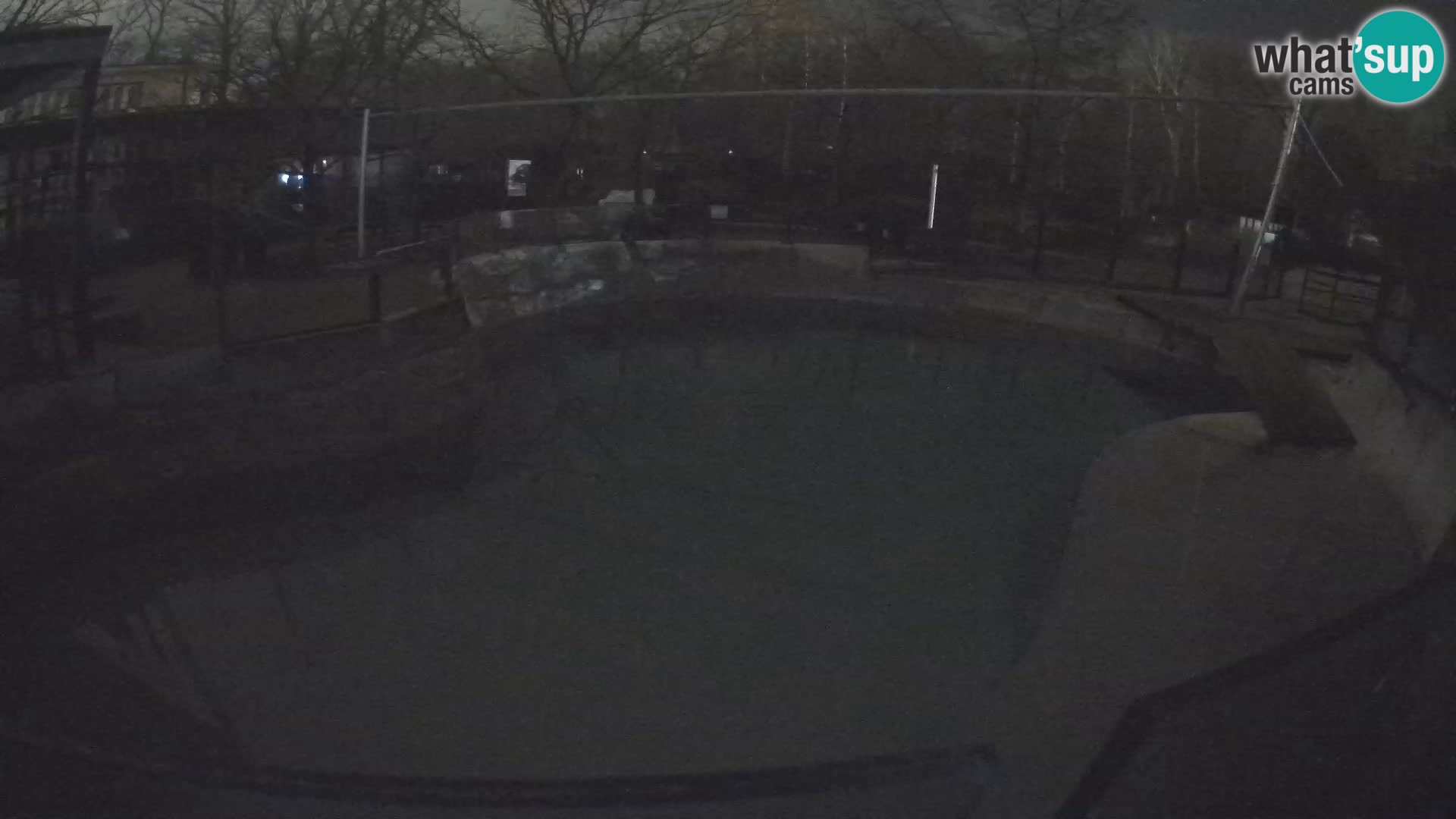 Zoo Zagreb –  León marino de California