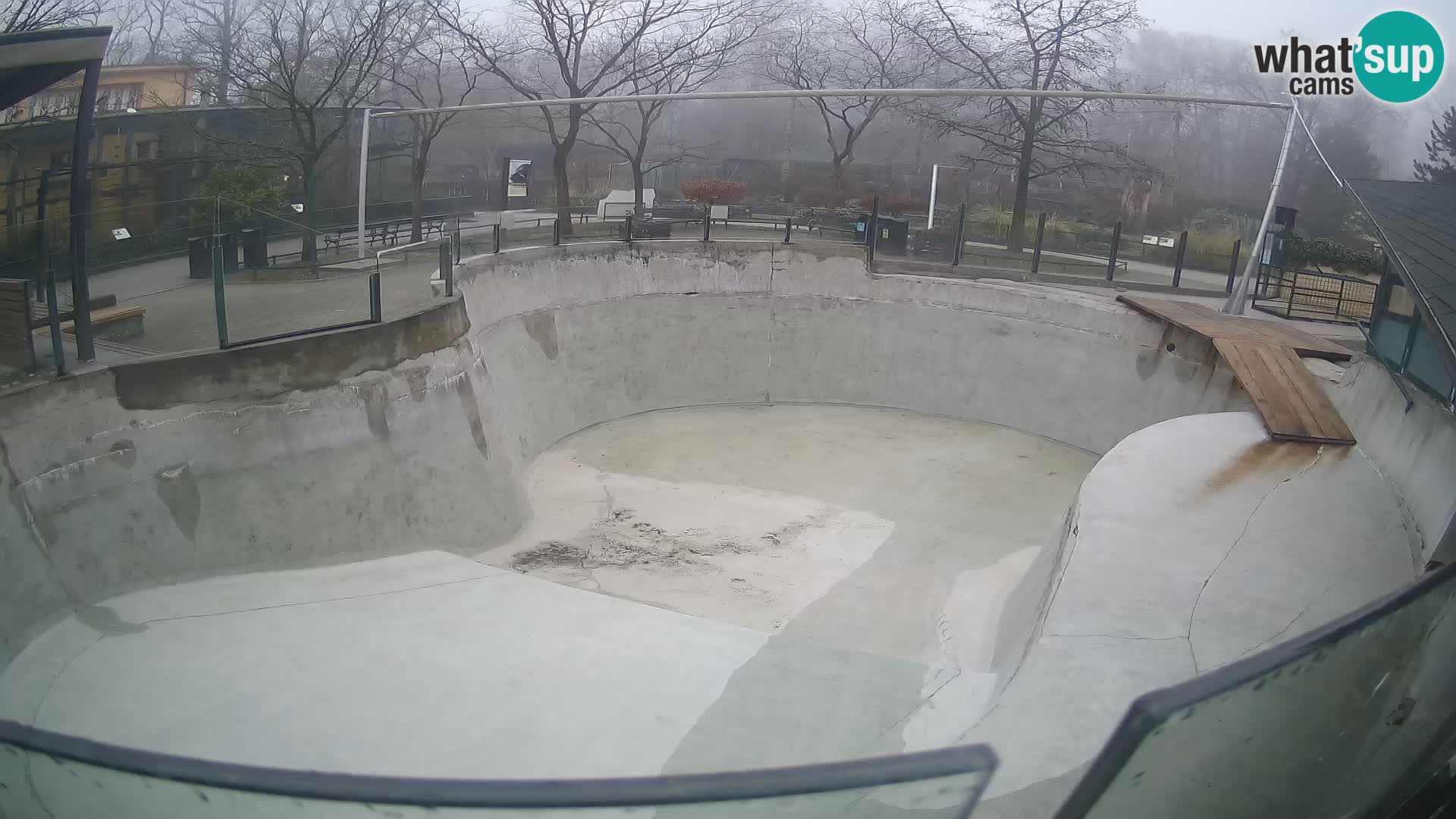 Zoo Zagreb – Kalifornijski morski lav