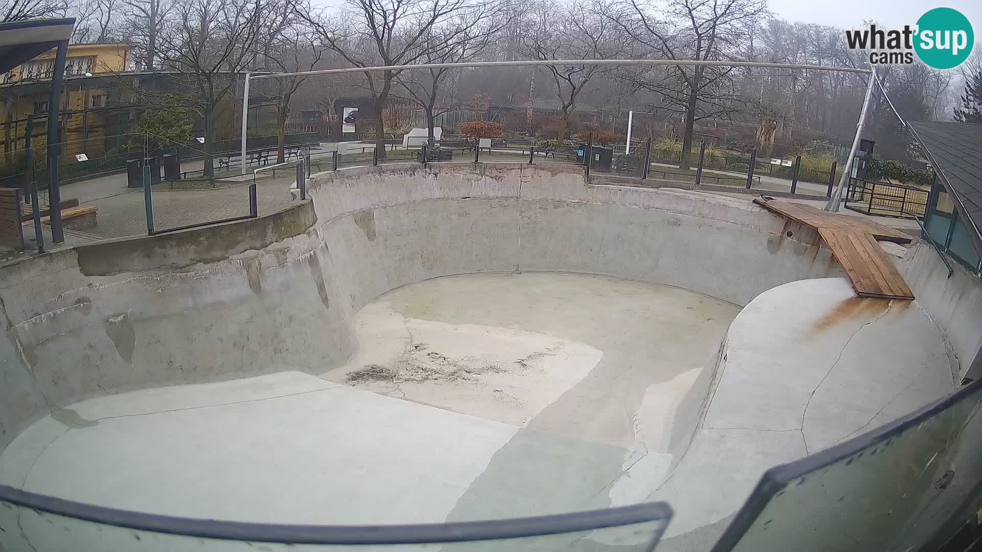 Zoo Zagreb –  León marino de California