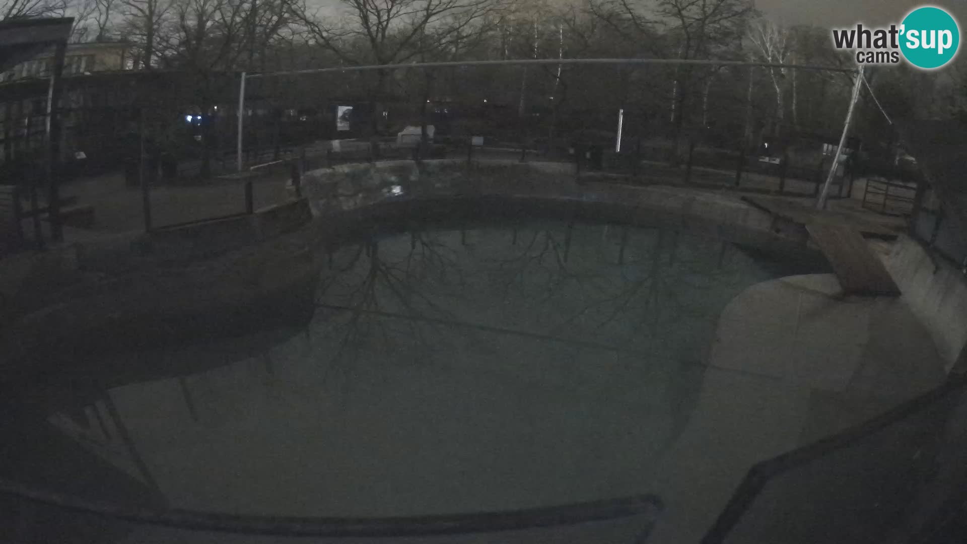 Zoo Zagreb – Kalifornijski morski lav