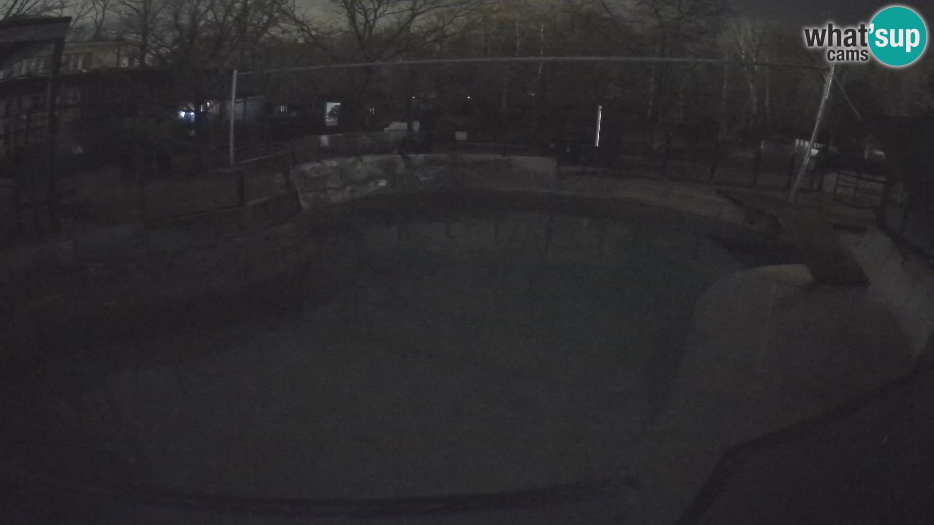 Zoo Zagreb – Kalifornijski morski lav