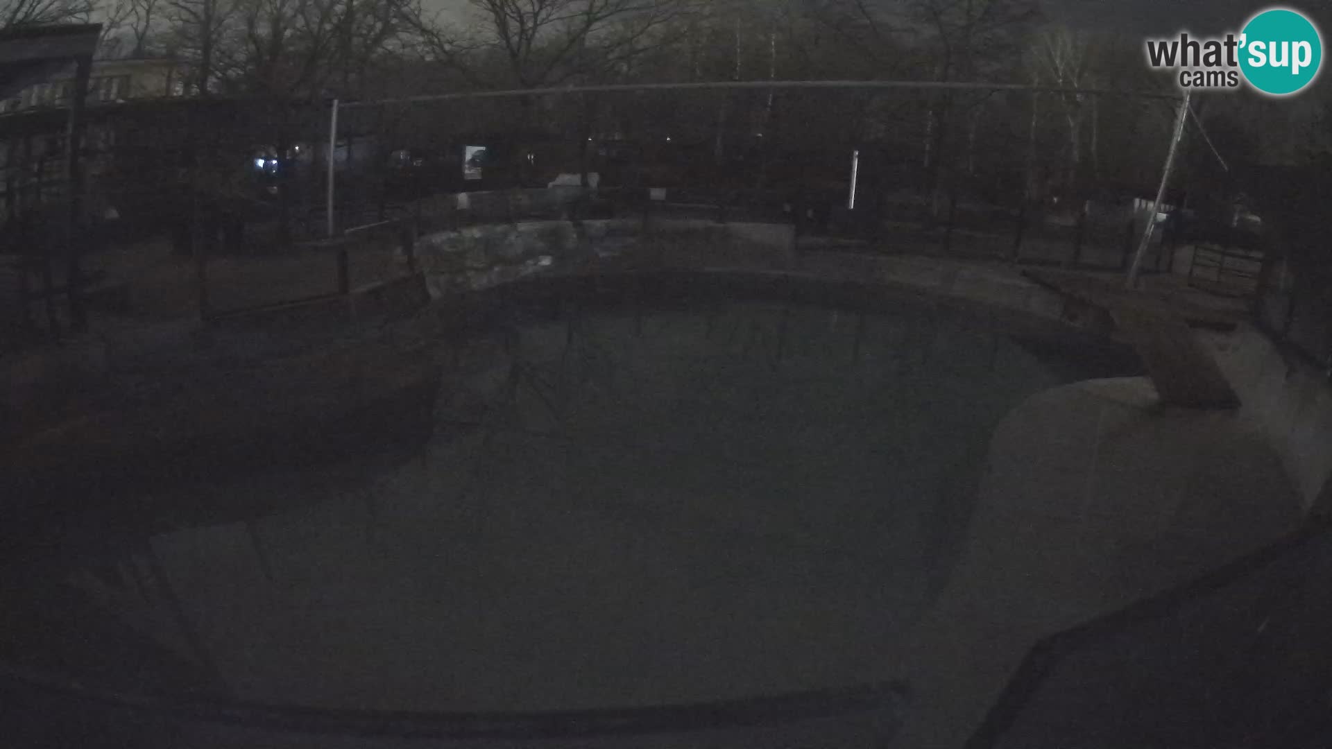 Zoo Zagreb – California Sea Lion