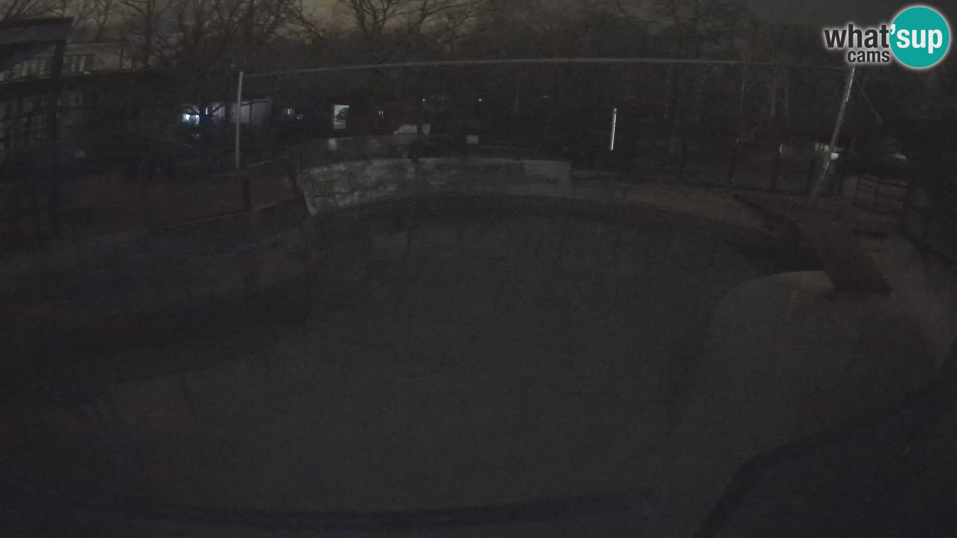 Zoo Zagreb – Kalifornijski morski lav