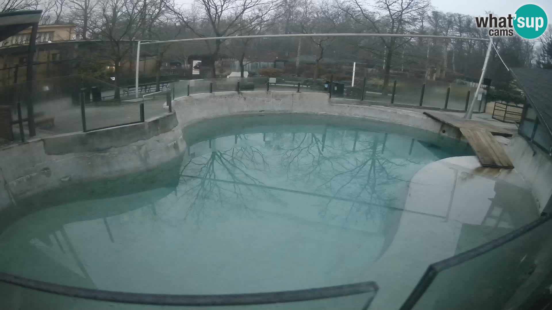 Zoo Zagreb – Kalifornijski morski lav