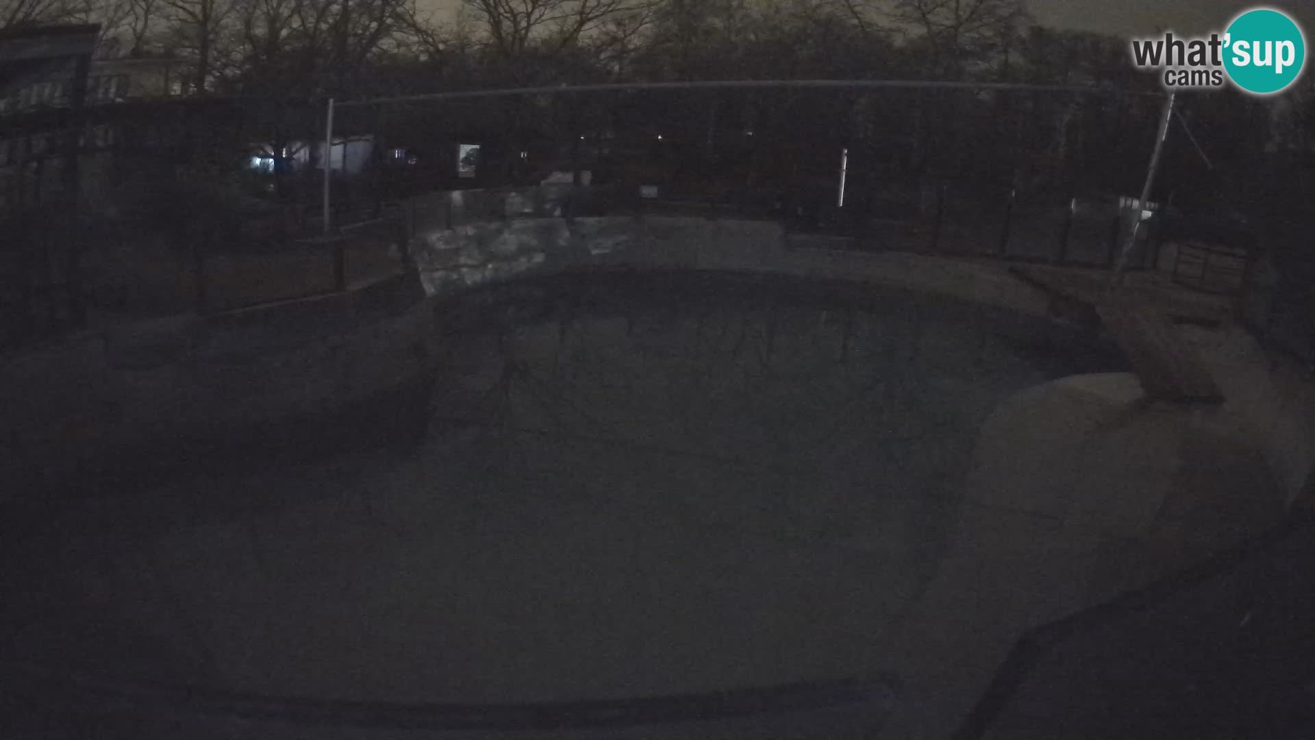 Zoo Zagreb – Kalifornijski morski lav