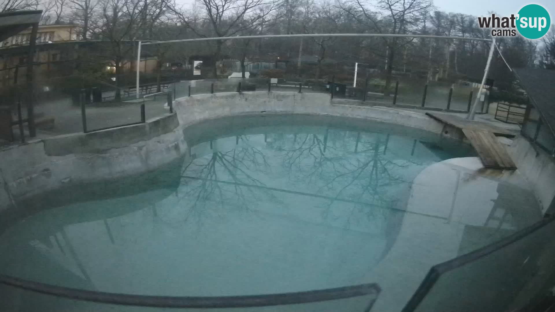 Zoo Zagreb – Kalifornijski morski lav