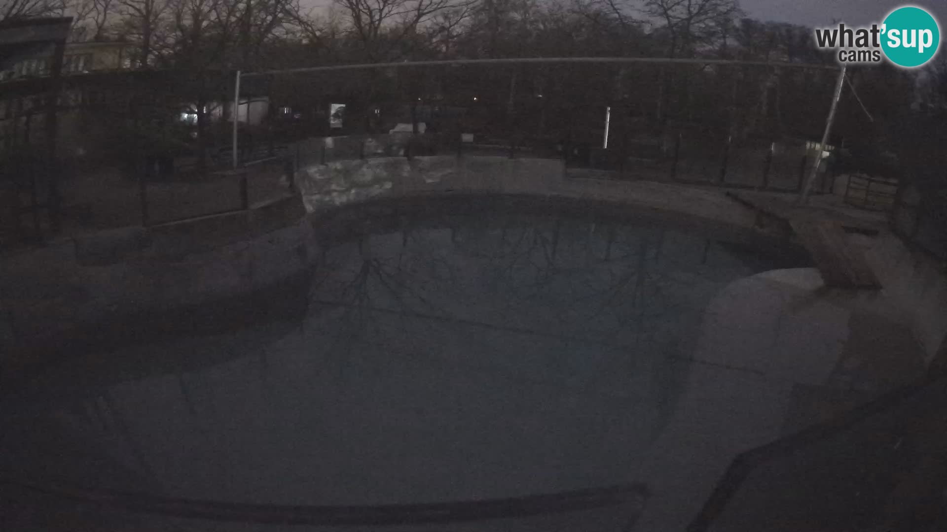 Zoo Zagreb –  León marino de California