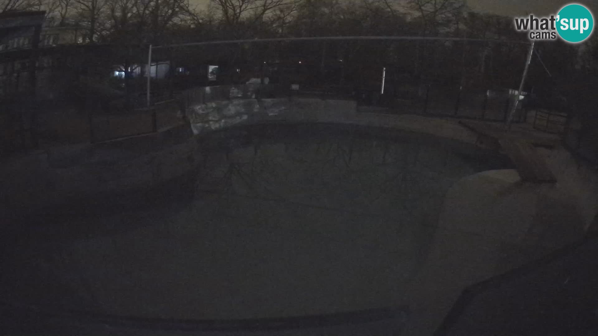 Zoo Zagreb –  León marino de California