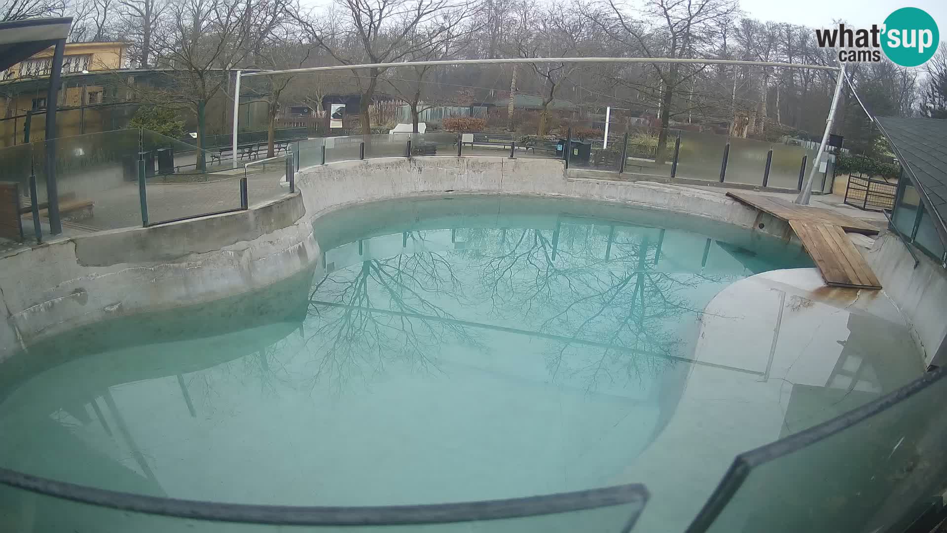 Zoo Zagreb –  León marino de California