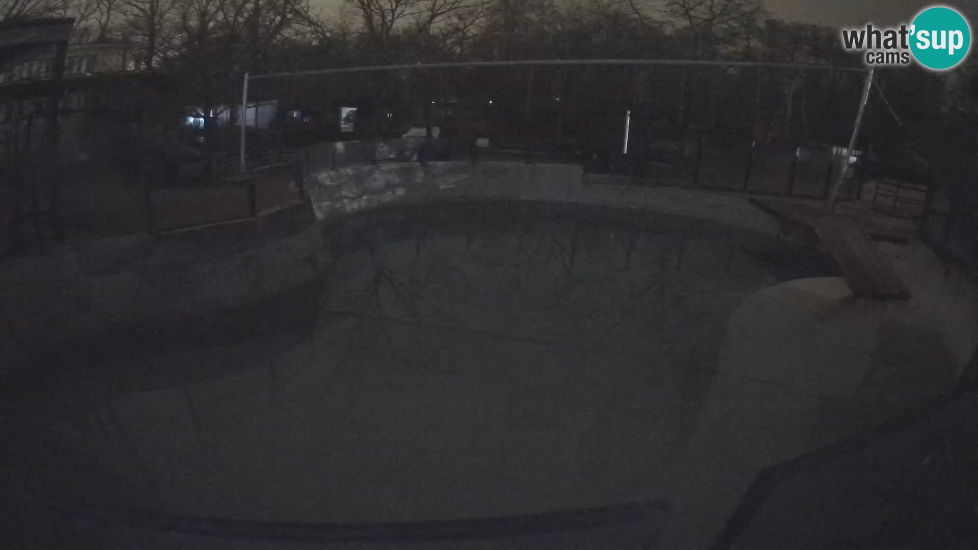 Zoo Zagreb –  León marino de California