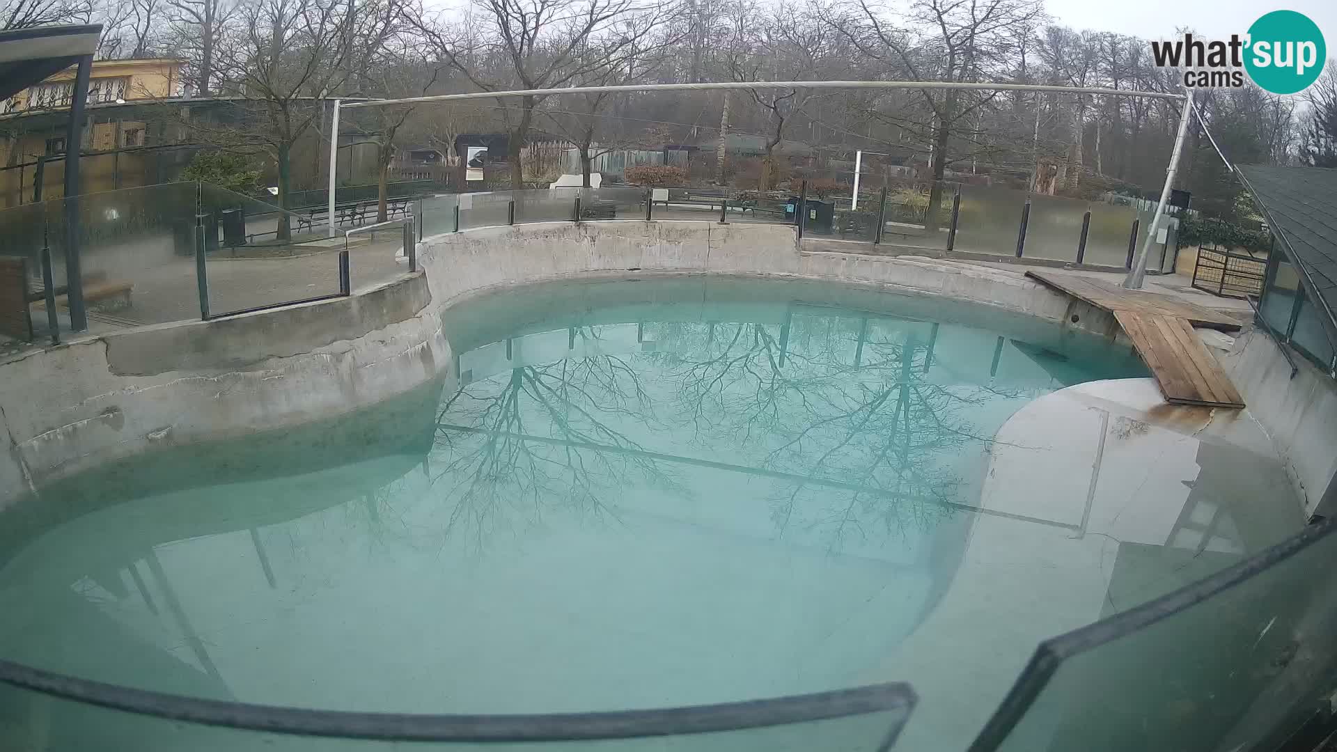 Zoo Zagreb – Kalifornijski morski lav