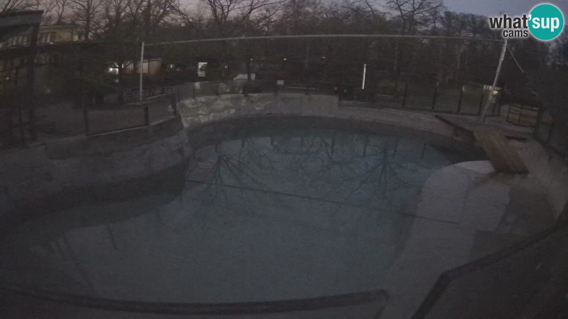 Zoo Zagreb –  León marino de California