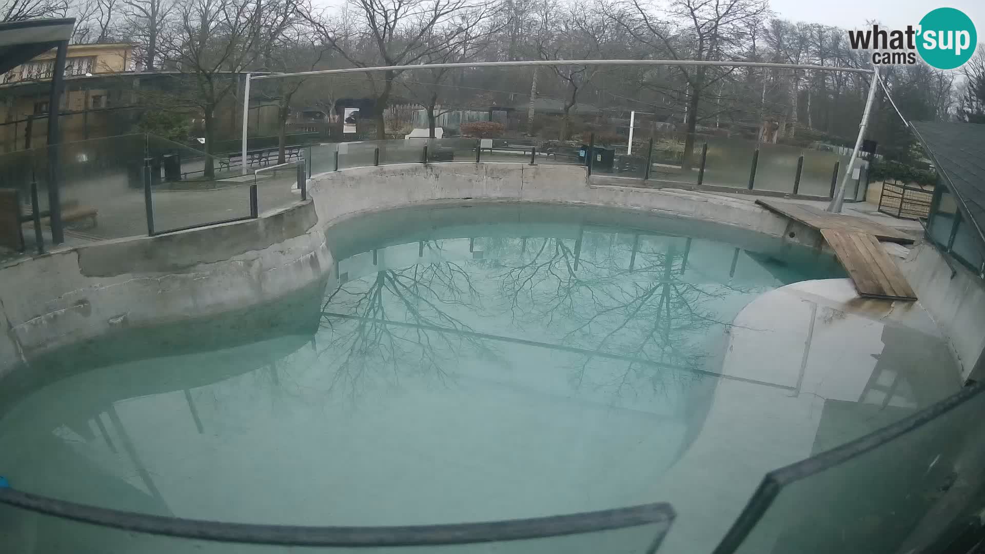 Zoo Zagreb – Otarie de Californie